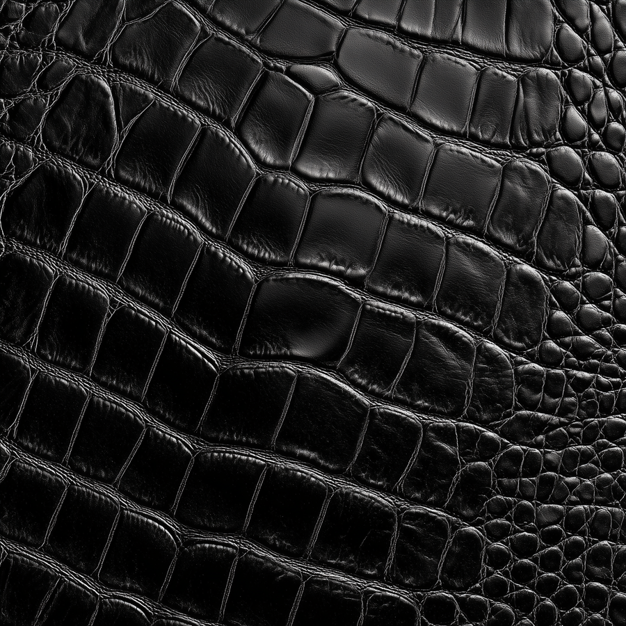 CaseZ Alligator Collection